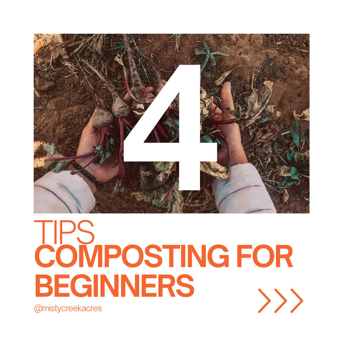 Composting for Beginners: Turn Your Scraps into Garden Gold