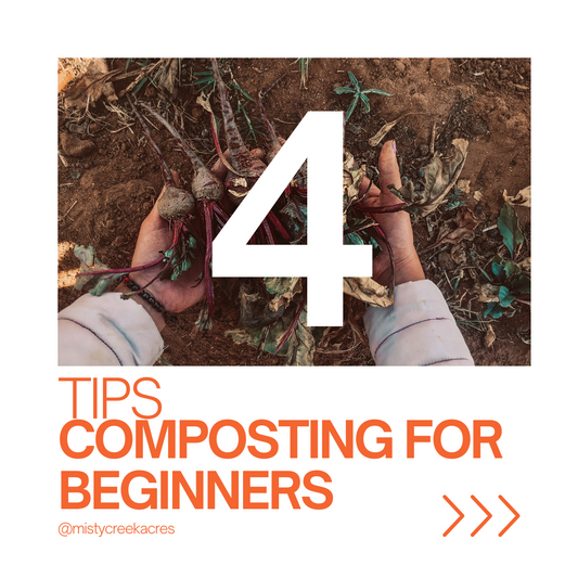 Composting for Beginners: Turn Your Scraps into Garden Gold