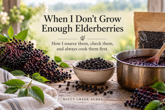 Dried elderberries and syrup-making ingredients from Misty Creek Acres
