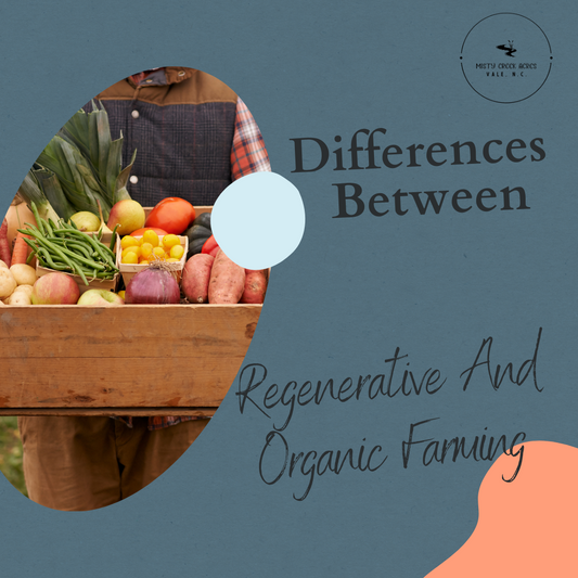 Understanding the Differences Between Organic and Regenerative Farming