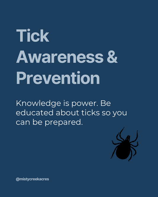 Your Go-To Guide for Tick Awareness and Prevention