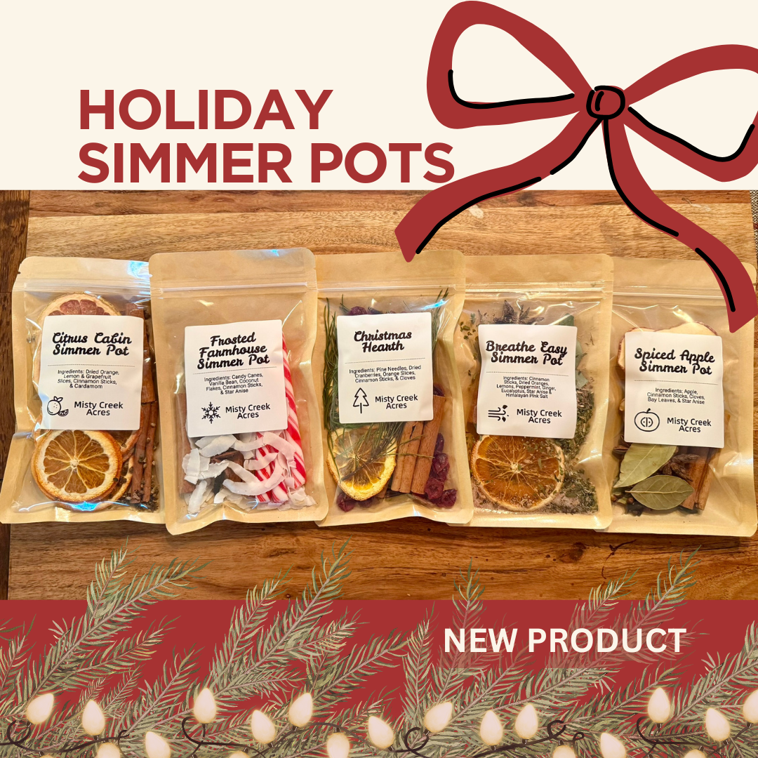 Spiced Apple Simmer Pot – Cozy Fall Home Fragrance with Cinnamon, Clove & Star Anise
