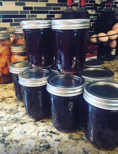 Premium Organic Elderberry Syrup