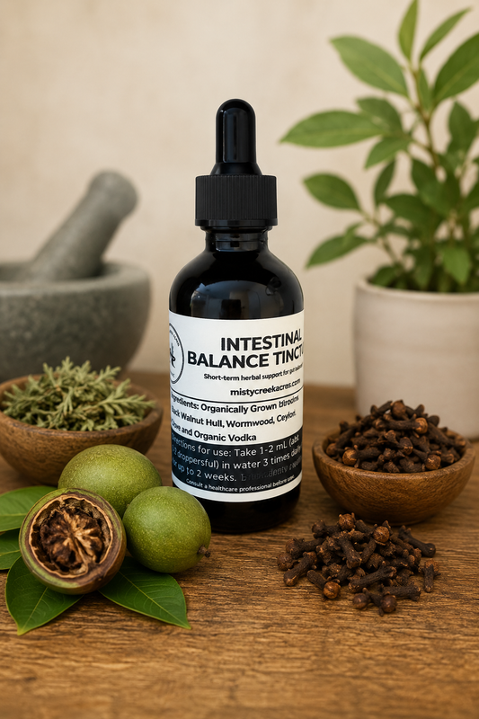 Intestinal Balance Tincture bottle with natural ingredients on a wooden surface